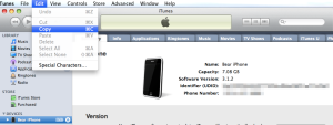 iPhone Device ID from iTunes